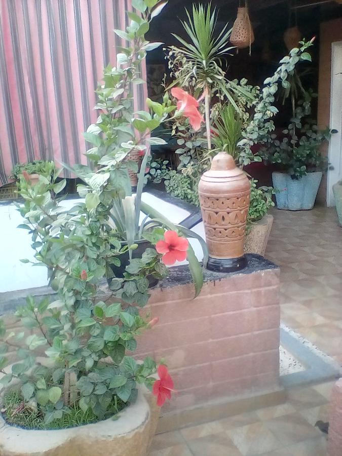 Hostel Happy Land Luxor Exterior foto